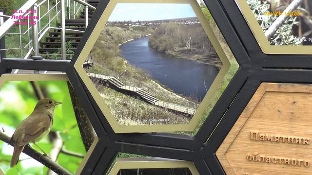 114.ПЕШИЕ ПРОГУЛКИ.Лебедянь 3 октября 25.vovich Video .mp4