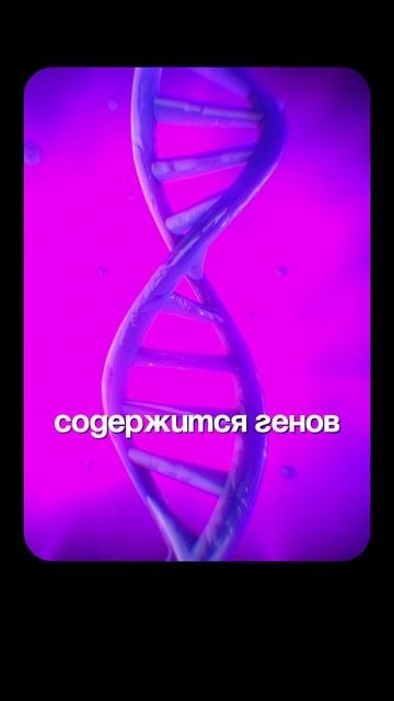 ИНТЕЛЛЕКТ ОТ МАМЫ? | Глеб Соломин, Северинов, Алипов