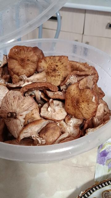 селёдка под шубой грибы и домашняя консерва