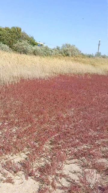 Октябрь под Анапой