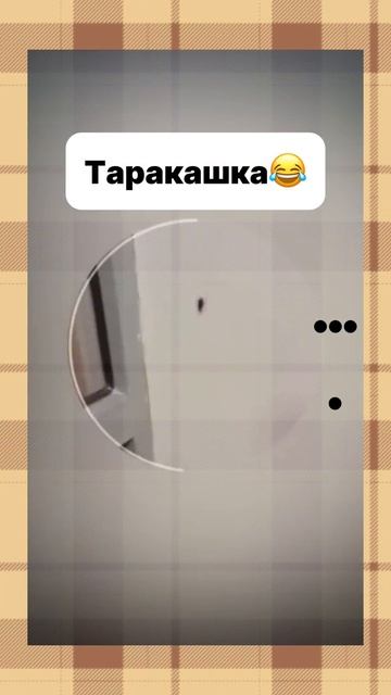 таракан