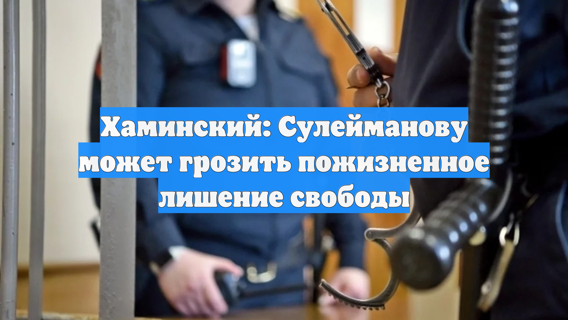 Хаминский: Сулейманову может грозить пожизненное лишение свободы