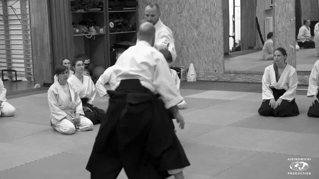 Aikido_ Stephane Goffin Budapest 2019