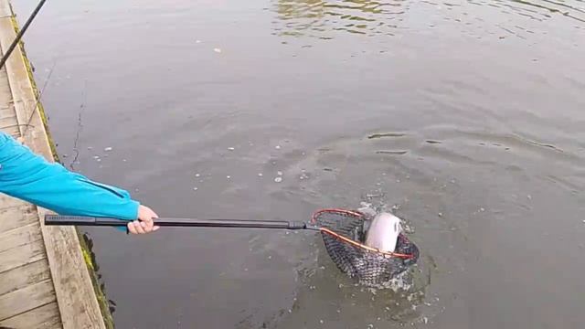 1000084109.mp4