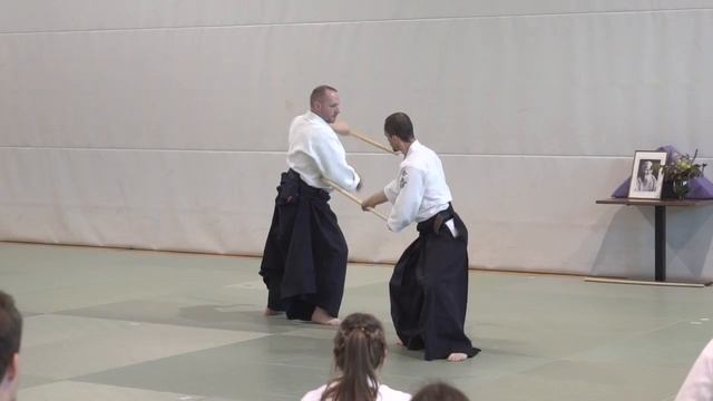 Aikido_ Stephane Goffin, Vienna 2018
