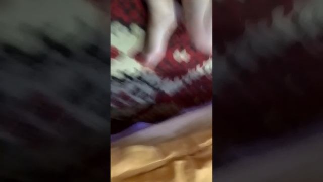 VID_20251004_200455.mp4