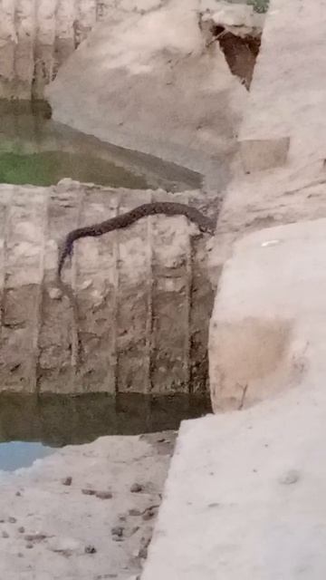 Она тоже на рыбалке