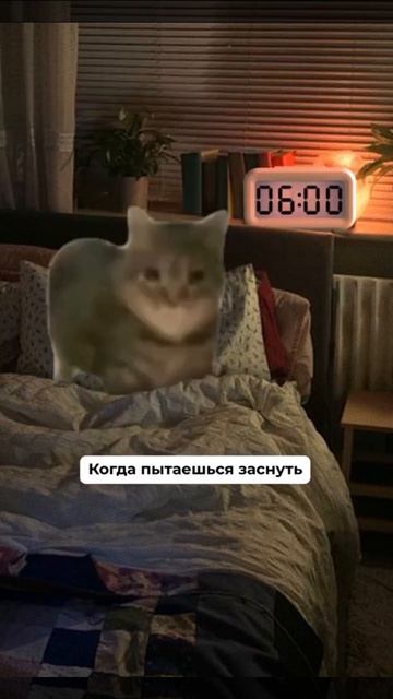 Когда пытаешься заснуть🤣😂
