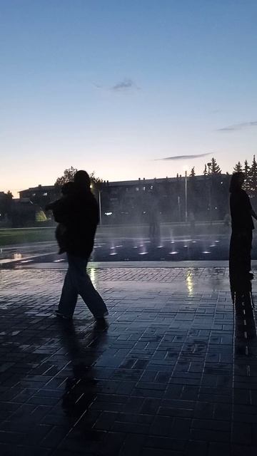 VID_20250816_205433.mp4