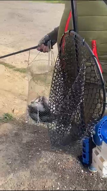 04-10-2025 удачный улов форели 🐟
