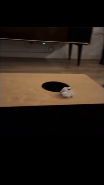 Сменные котикий
