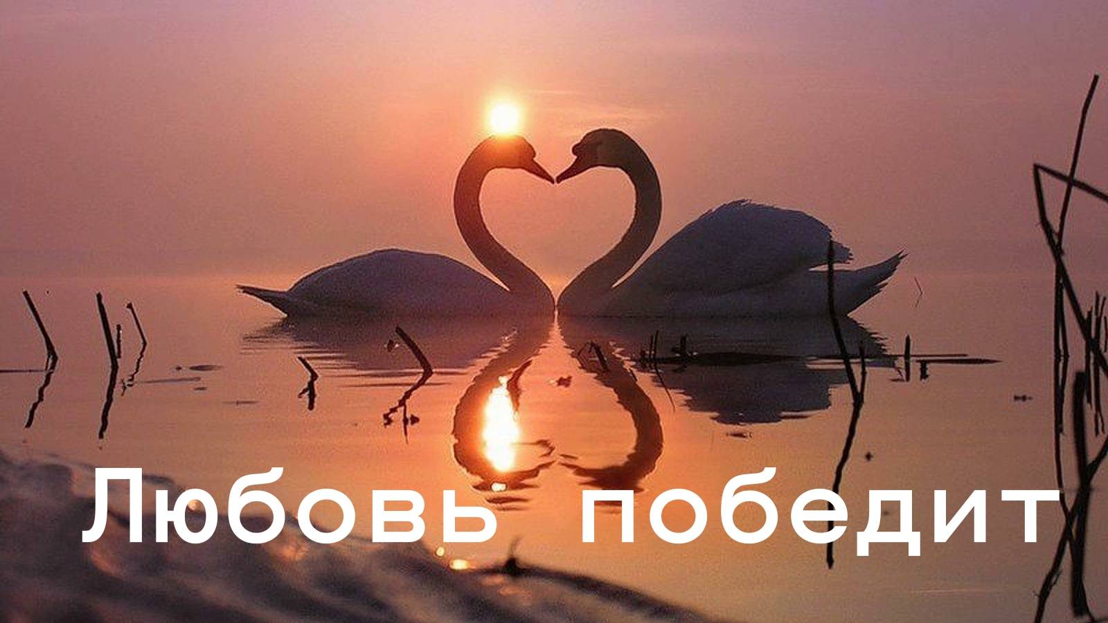 Александр Суханевич - Любовь победит