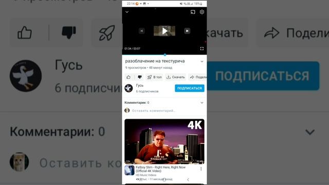 гусь пазорище
