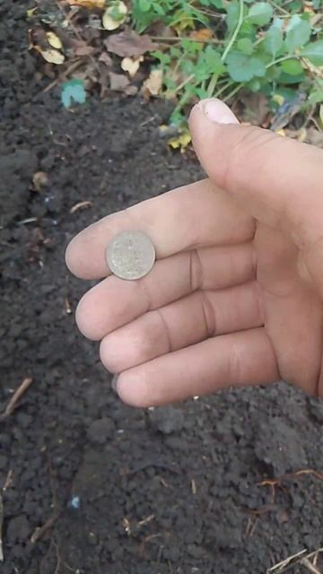 На моей улице серебряный праздник!