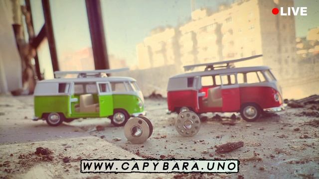 Капибара Уно - Capybara Uno