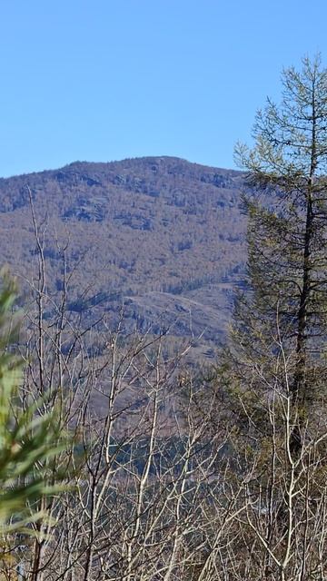 Абзаково октябрь