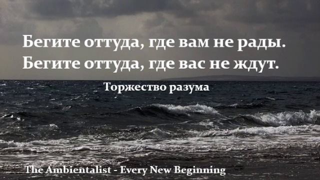 The Ambientalist - Every New Beginning