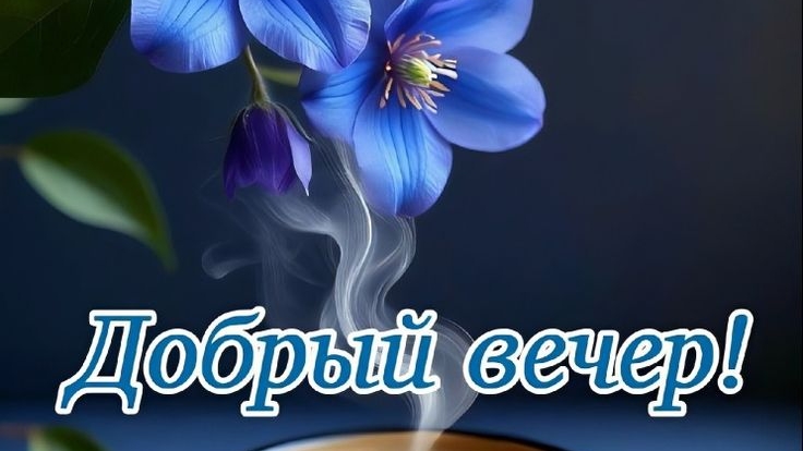 Добрый вечер♥️ Приятного отдыха ♥️♥️