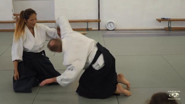 Aikido_ Stephane Goffin Summerseminar 2019 Balaton