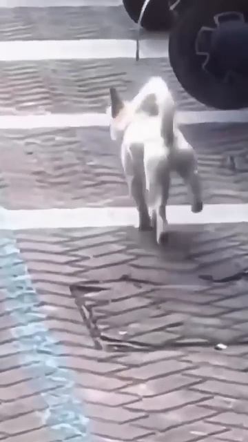 Ждали СКУЧАЛИ...делали веселье приколы до слёз