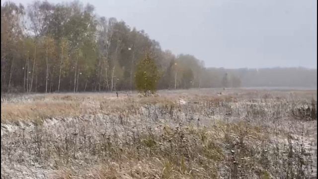 Первый снежок !!!