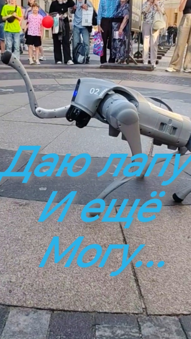 Собака робот.