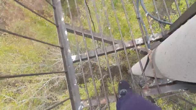 Вид с прожекторной вышки цеха водопровода.😊