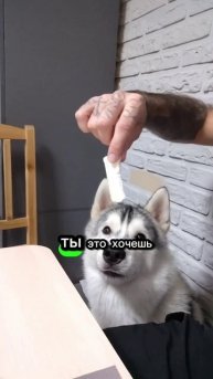 А у вас так же? :)