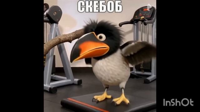 скебоб в качалке