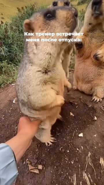 Вернулся в зал после отпуска 🤭