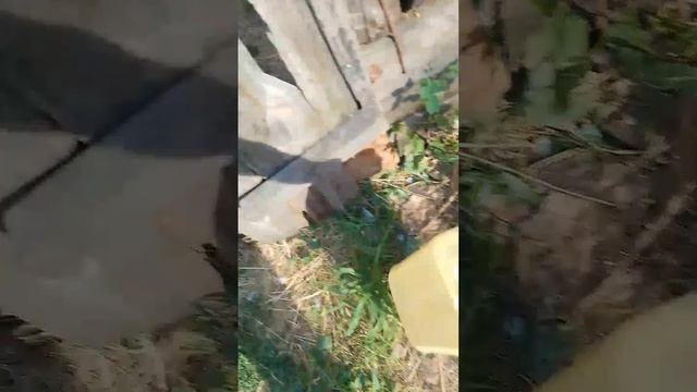 Отпуск наш этим летом 2025