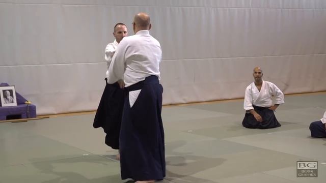 Aikido_ Stephane Goffin _ Vienna Oct 2016