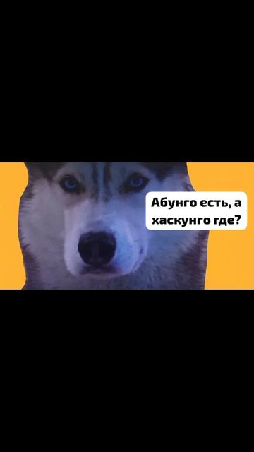 мемы 1 часть 20 секунд