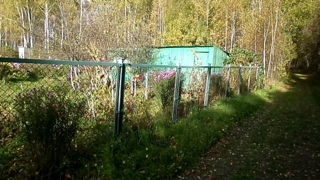 МУЖИК   ПРОЛЕЗ   ЧЕРЕЗ ЗАБОР ВЕЧЕРОМ ,а ТУТ ХОЗЯЙКА ИЗ ДОМА ВЫШЛА ,ПРИШЛОСЬ ВОРУ  СИГАТЬ НАЗАД