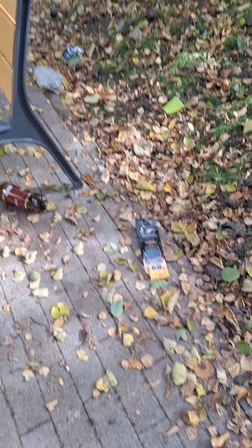 Скотобыдло...