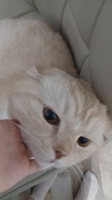 король нашего канала