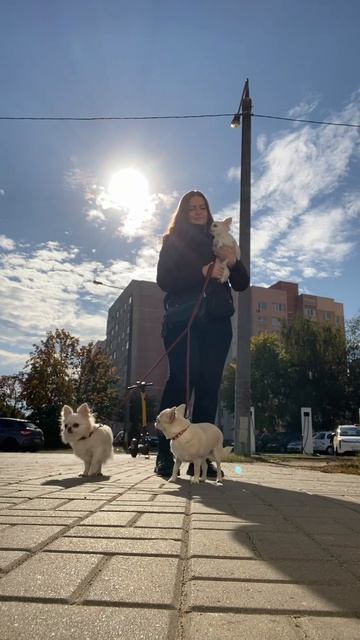 берегись своих желаний