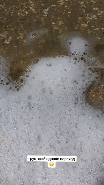 сейчас бы на море😋