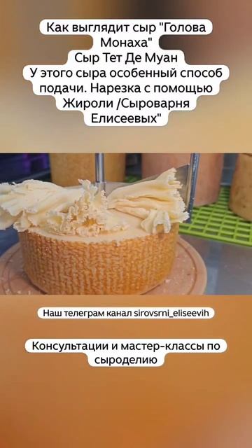 Как выглядит сыр