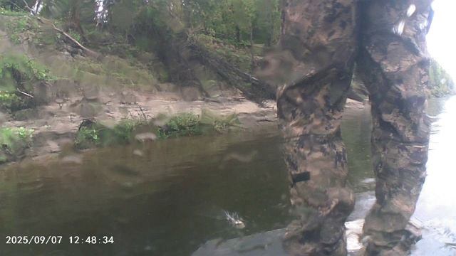 MOV00539