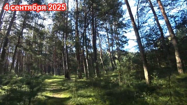 КБВО,  учебка Печи,  в\ч 02375, 1990 . Мамаюнусов Алиакбар.