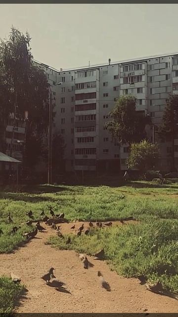 НейроПазл превращает обычные снимки в живые истории!