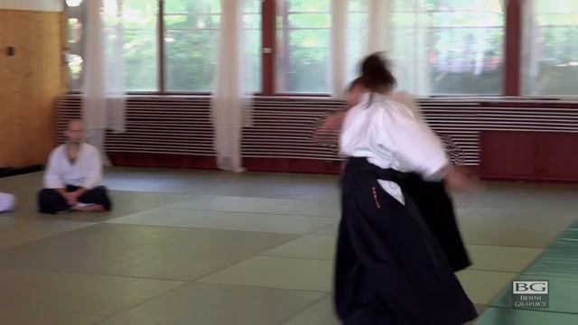 Aikido_ Stephane GOFFIN Slowmotionstudy of Nagewaza