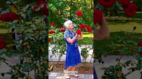 МАМОЧКА с Днём Рождения 2025