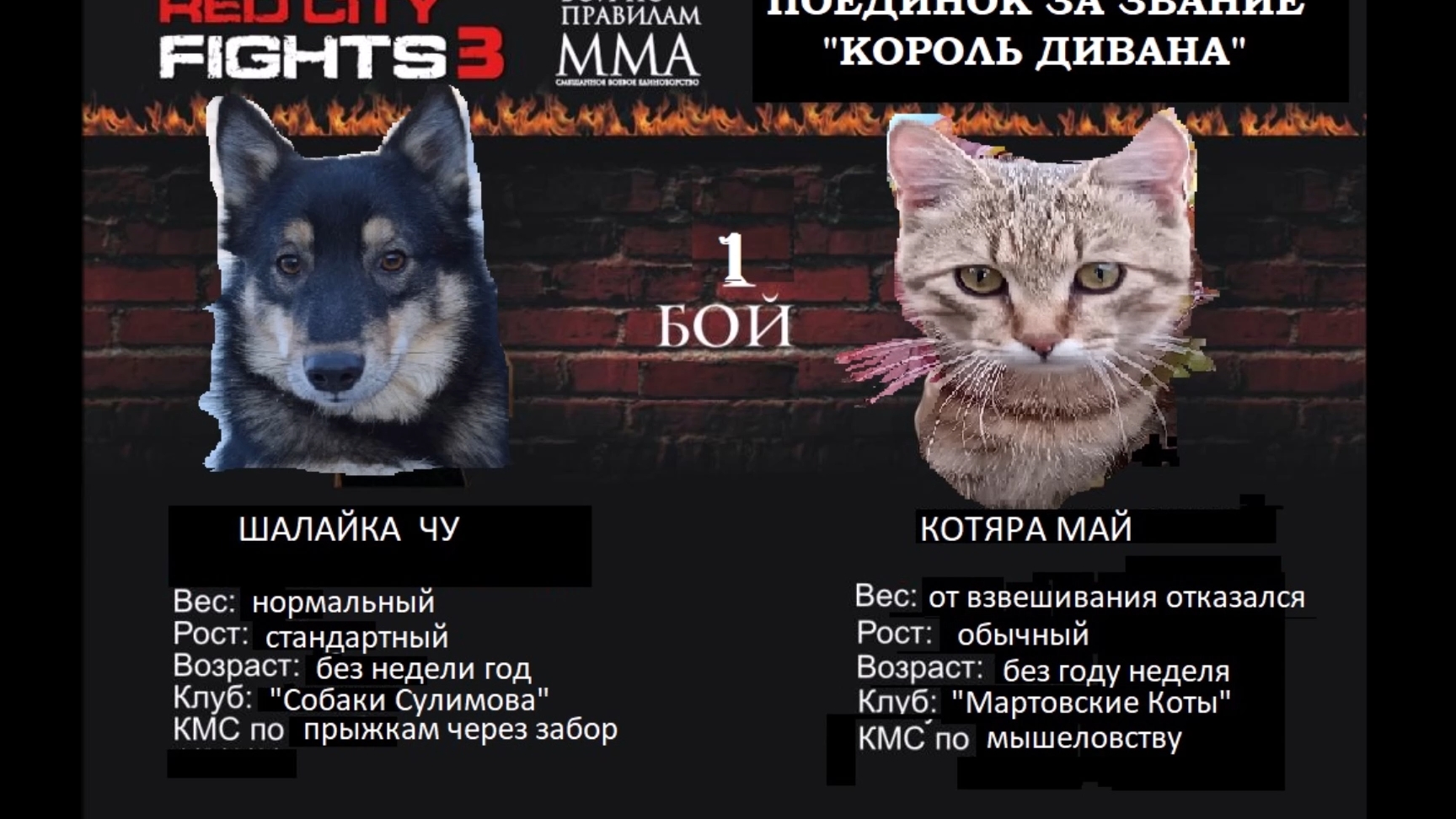 Титульный бой