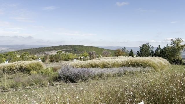 Прекрасные виды в замечательную погоду - винодельня Гай-Кодзор под Анапой