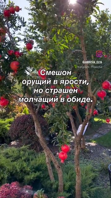 Мудрые слова