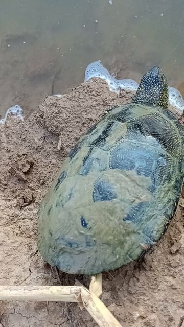 Не хотела уходить