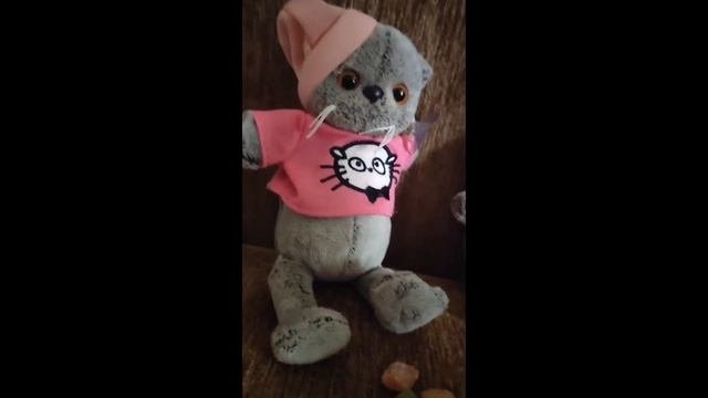 пять видео подряд#приколысбасиками#БаСюуРкИ#