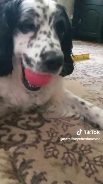 МОЙ мячик!...)))